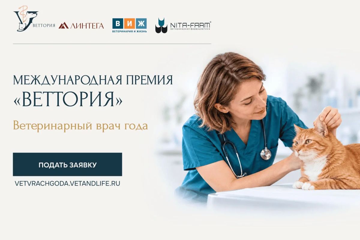 Подать заявку на «ВЕТТОРИЮ» стало проще