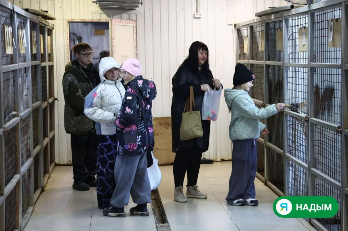 День, когда хвостики особенно ждали гостей День, когда хвостики особенно ждали гостей