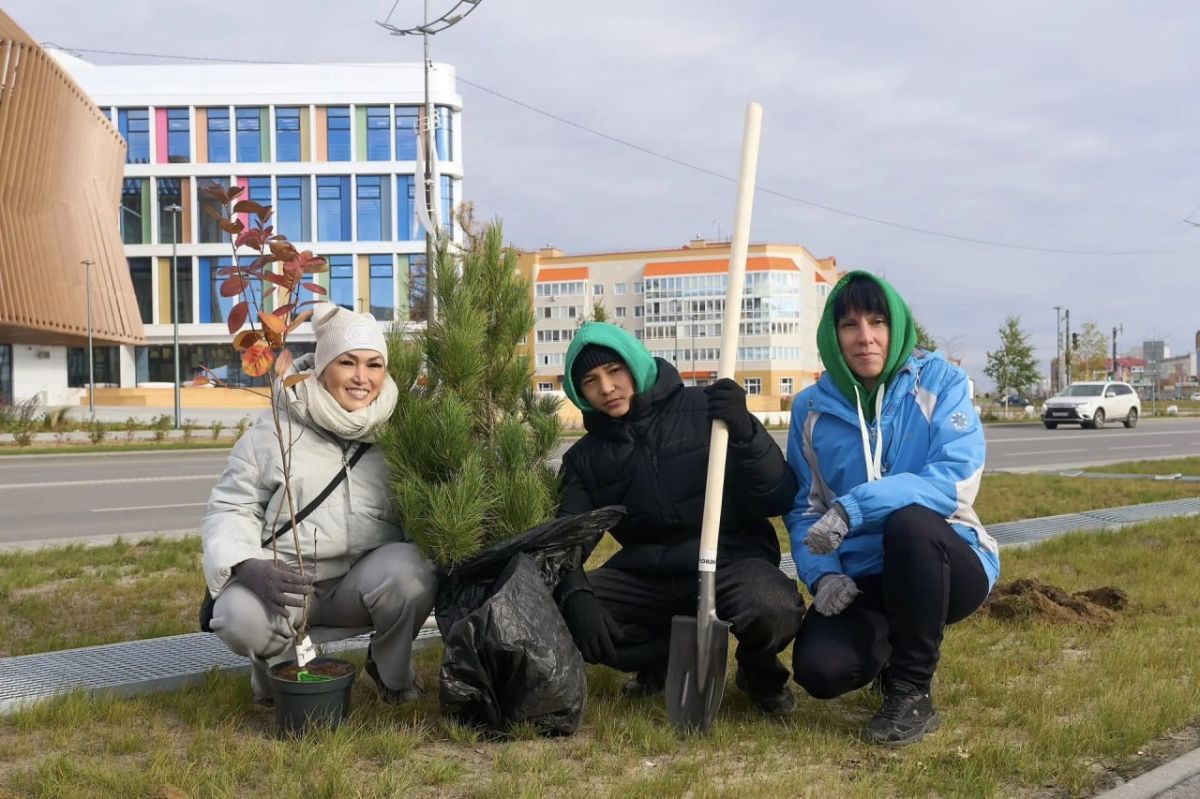 Кедры, рябины и вишни стали подарком педагогам ко Дню учителя Кедры, рябины и вишни стали подарком педагогам ко Дню учителя