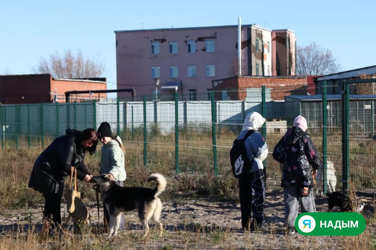 День, когда хвостики особенно ждали гостей День, когда хвостики особенно ждали гостей