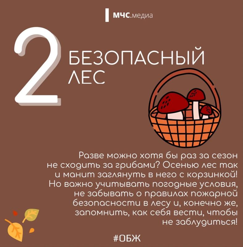 Осень без происшествий: 5 рисков, о которых важно помнить Осень без происшествий: 5 рисков, о которых важно помнить