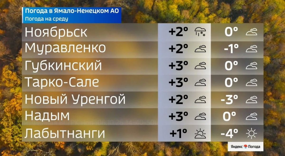 Ямал продолжает остывать. В среду, 7 октября, днём по округу будет до +4 °C, а ночью местами до 4 °C. В Салехарде — +2 °C днём и 2 °C ночью, в Ноябрьске возможны дождь и снег