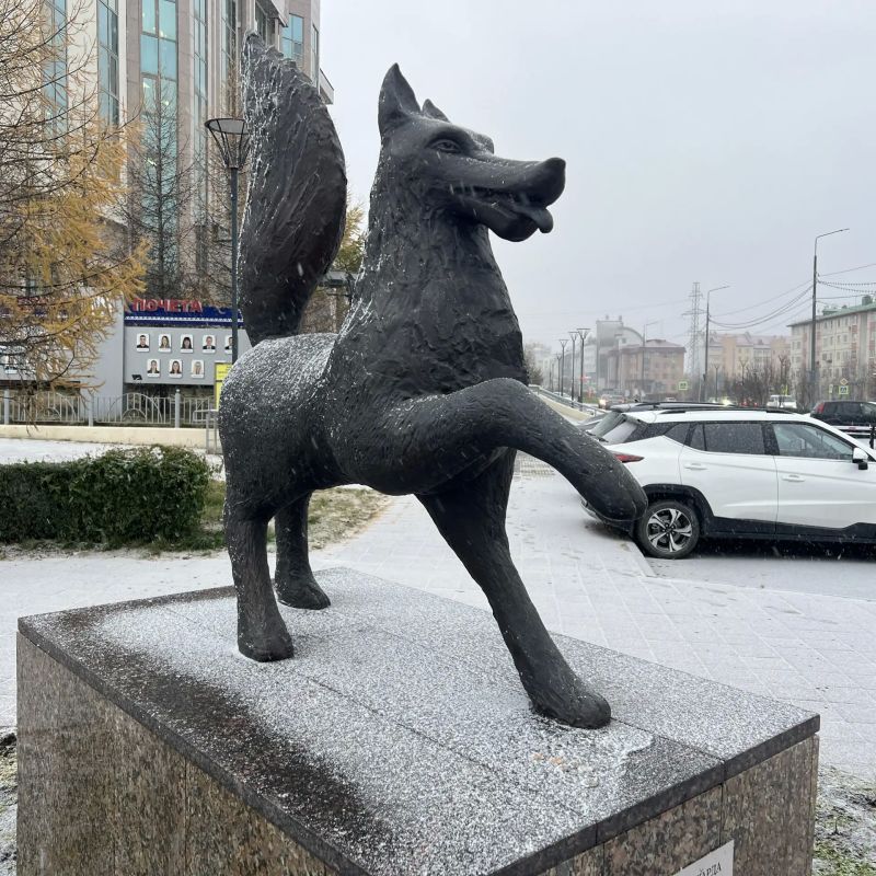 С первым снегом, салехардцы