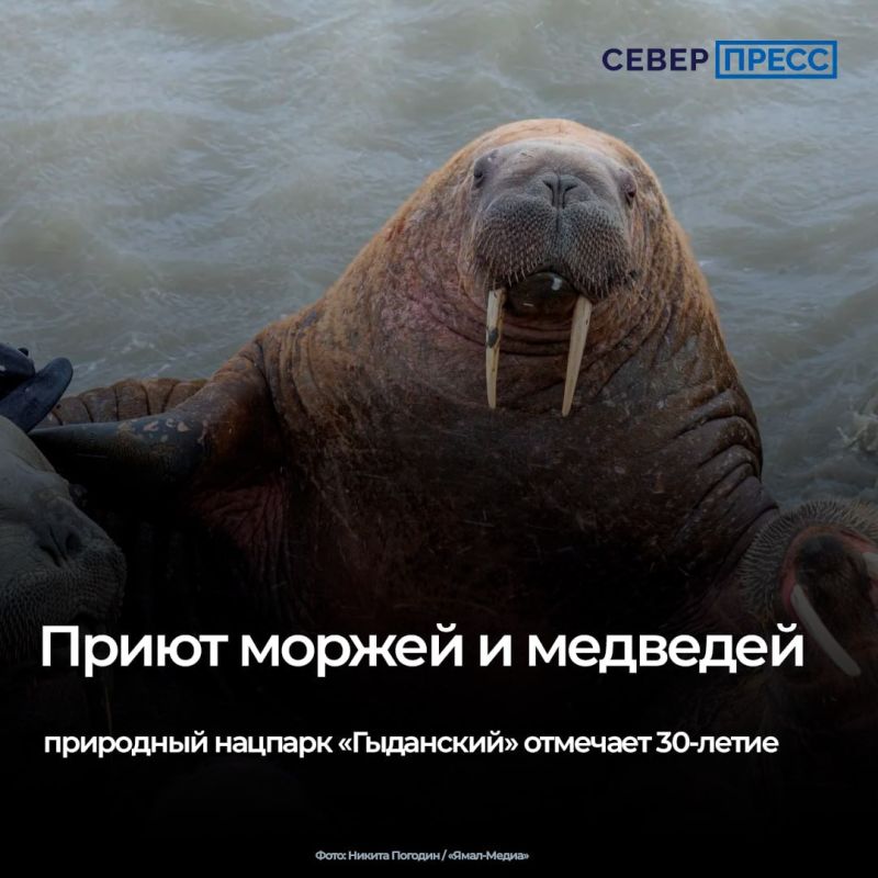 Национальный парк «Гыданский» 7 октября отмечает 30-летие со дня основания