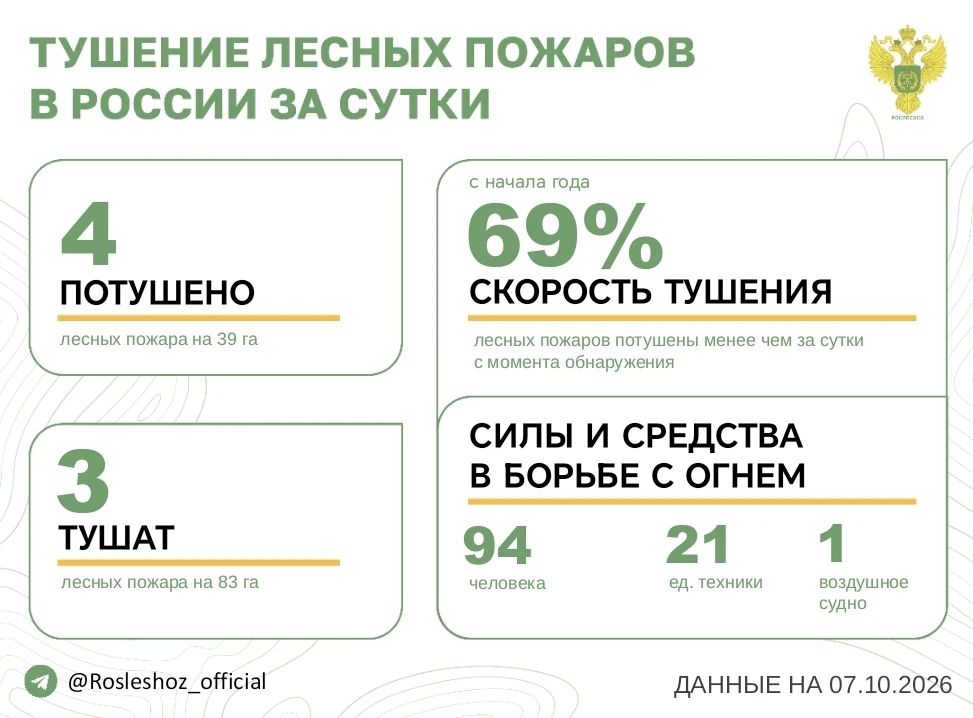 За прошедшие сутки в 3 регионах России потушили 4 лесных пожара