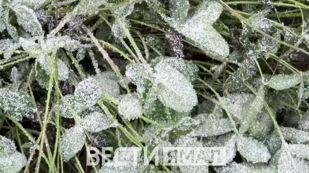 Первый снег пошёл в Салехарде