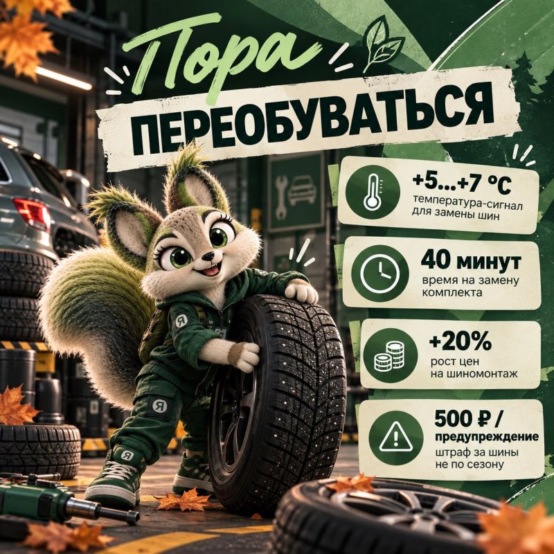Когда вы меняете шины: по дате или по погоде?