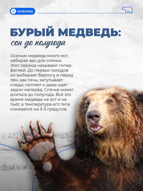 Кто готов к ямальской зиме лучше всех? Кто готов к ямальской зиме лучше всех?