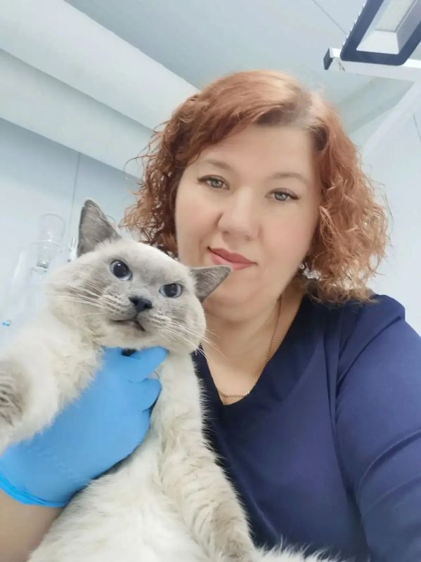 Помним, мы вам обещали. Рассказать, когда начнем осматривать брошенных под дверьми приюта в Губкинском котов Помним, мы вам обещали. Рассказать, когда начнем осматривать брошенных под дверьми приюта в Губкинском котов