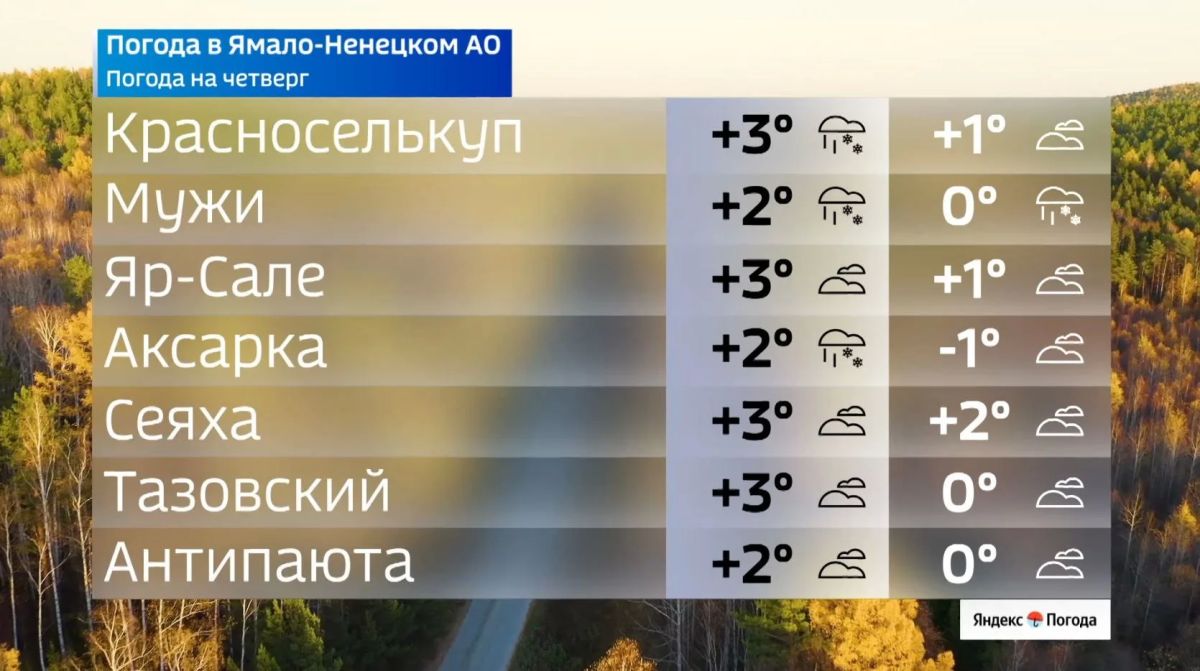 Осторожно, гололедица. По данным сервиса «Яндекс Погода», в четверг 8 октября в Ямало-Ненецком автономном округе местами пройдёт мокрый снег Осторожно, гололедица. По данным сервиса «Яндекс Погода», в четверг 8 октября в Ямало-Ненецком автономном округе местами пройдёт мокрый снег
