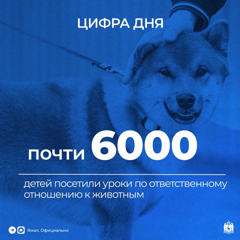 С начала года специалисты окружной службы ветеринарии провели более восьмидесяти «Уроков доброты и безопасности» в городах и посёлках Ямала