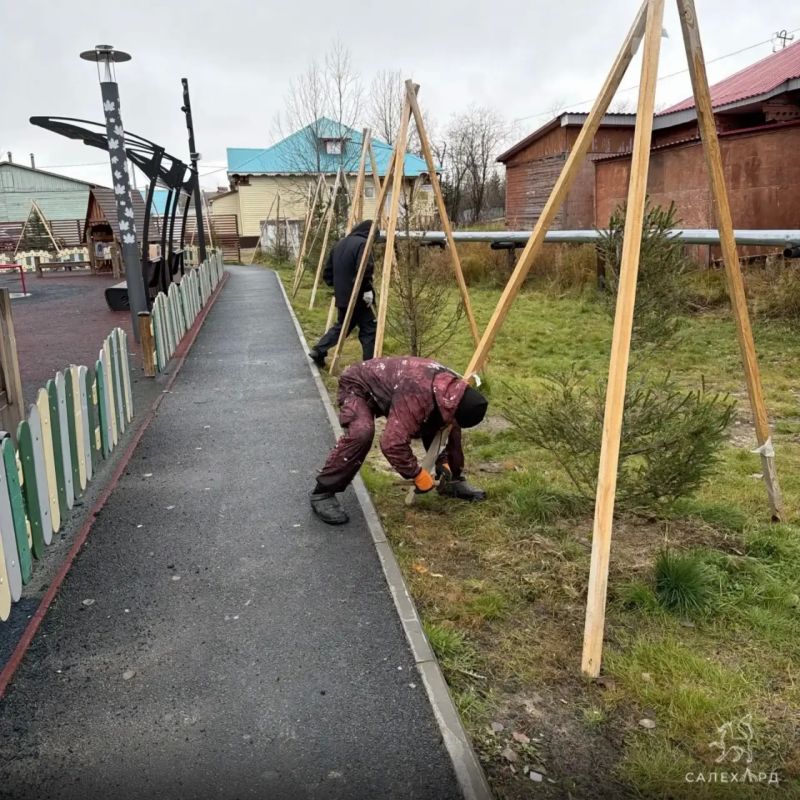 В Салехарде стартовал первый этап работ по укрытию зелёных насаждений на зиму