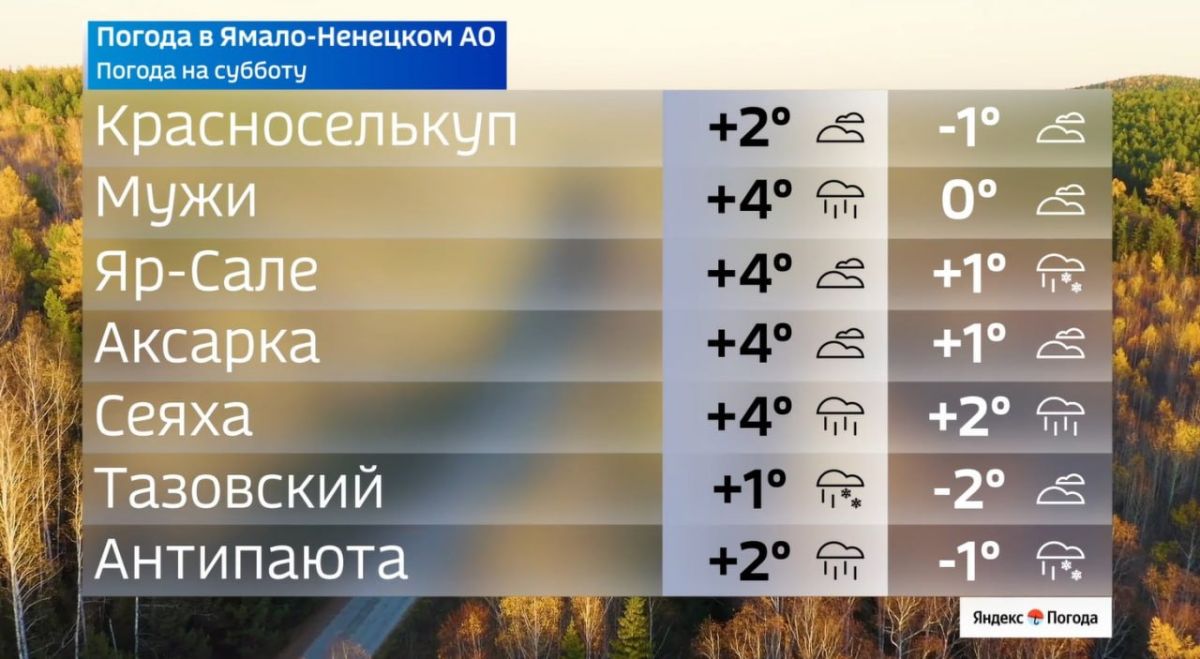 На Ямале — прохладные выходные На Ямале — прохладные выходные