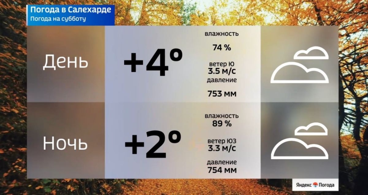 На Ямале — прохладные выходные На Ямале — прохладные выходные