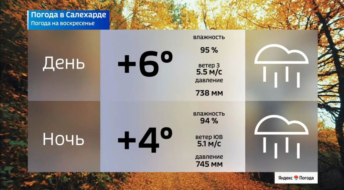 Воскресенье на Ямале будет дождливым Воскресенье на Ямале будет дождливым