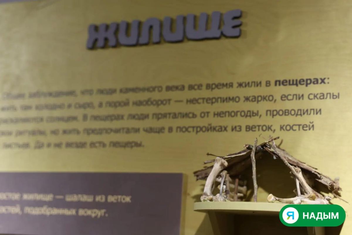 Ни магазинов, ни готовых инструментов Ни магазинов, ни готовых инструментов
