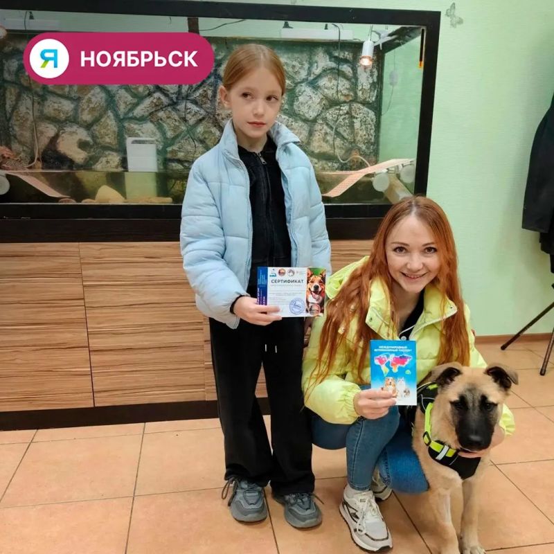 26 животных из приюта в Ноябрьске обрели новый дом 26 животных из приюта в Ноябрьске обрели новый дом