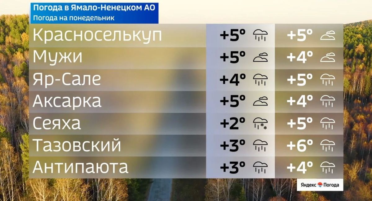 Плюсовая температура пока не хочет уходить с Ямала Плюсовая температура пока не хочет уходить с Ямала