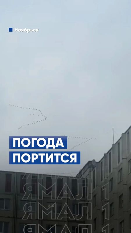 Ямальцы, держитесь: штормовой ветер накроет регион