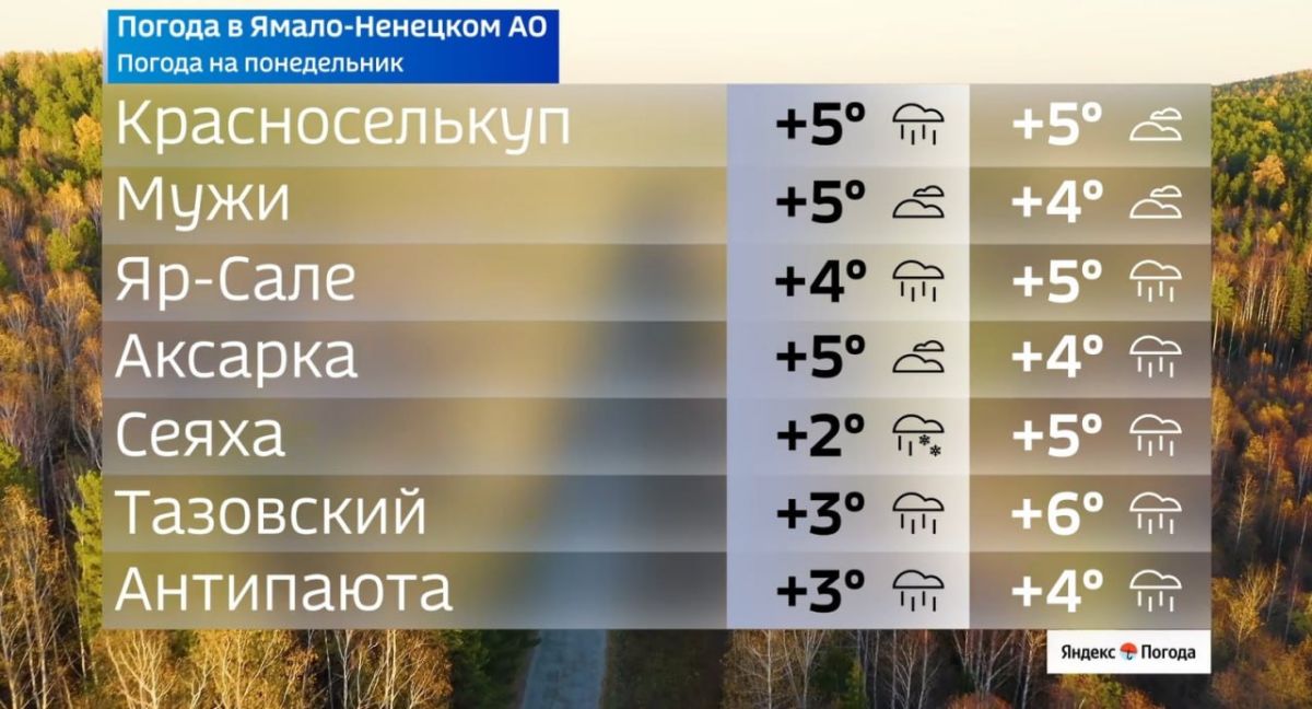 Более 1000 ямальцев пополнят ряды армии России до конца года Более 1000 ямальцев пополнят ряды армии России до конца года