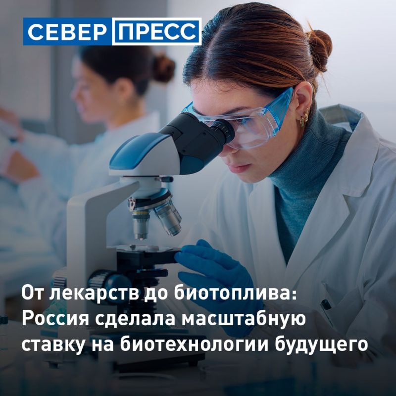 В России с помощью отечественных биотехнологий будут создавать новые лекарства, удобрения и экологичные виды топлива