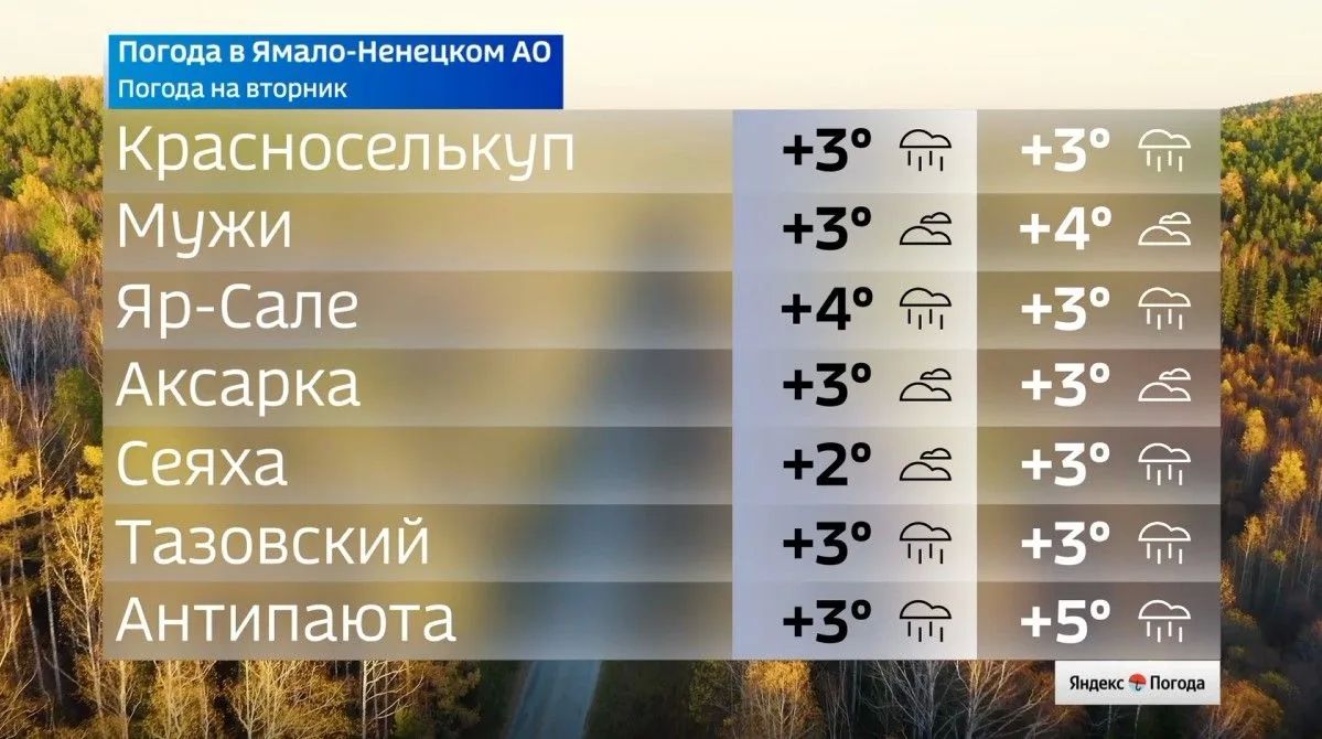 Какая погода ждет ямальцев 13 октября Какая погода ждет ямальцев 13 октября