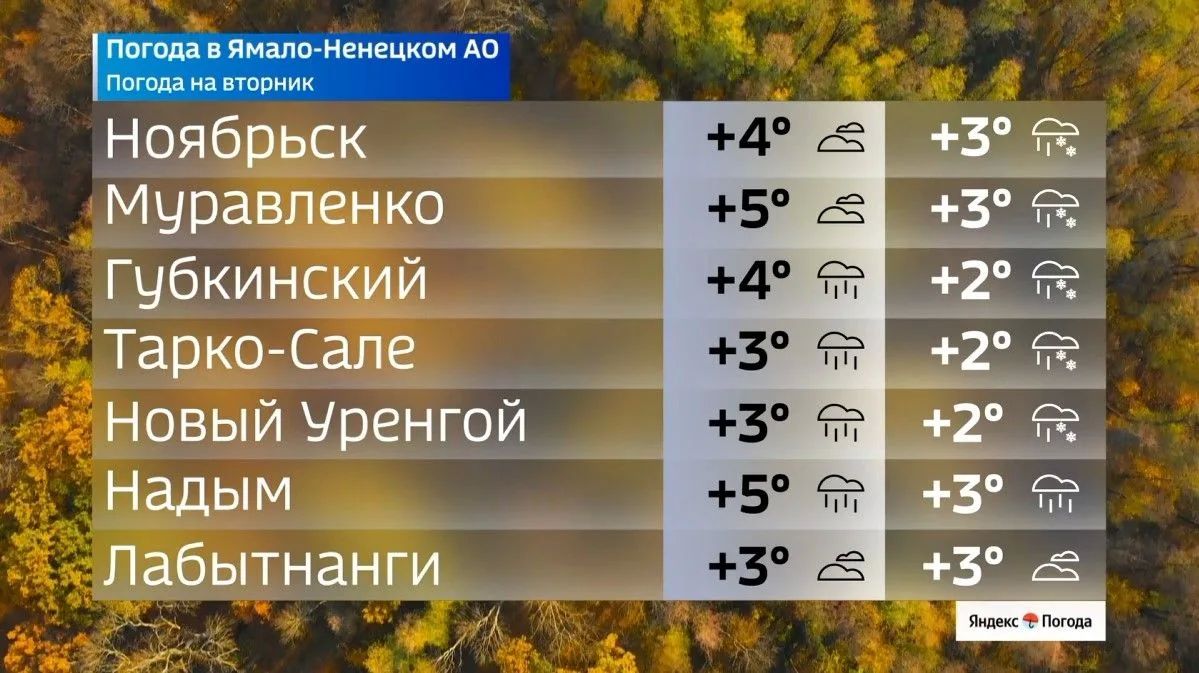 Какая погода ждет ямальцев 13 октября