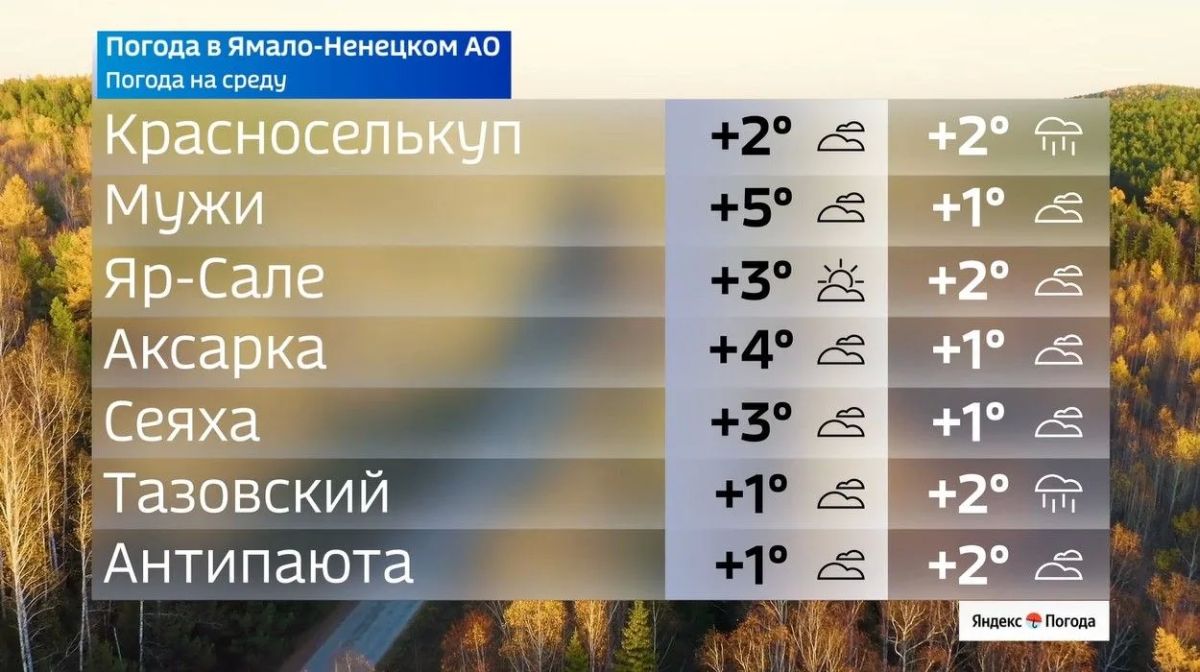 Облака, прохлада и немного дождя: погода на Ямале Облака, прохлада и немного дождя: погода на Ямале