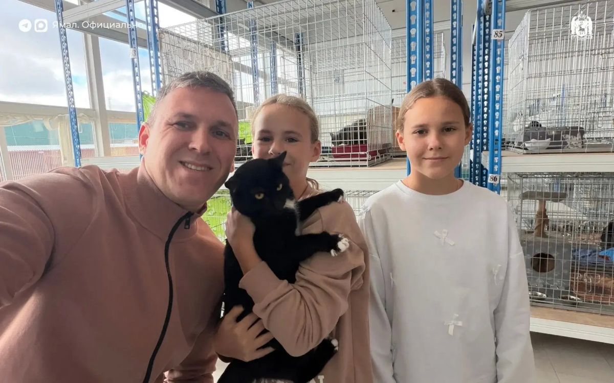 Ямальцы могут взять шефство над животными из приютов