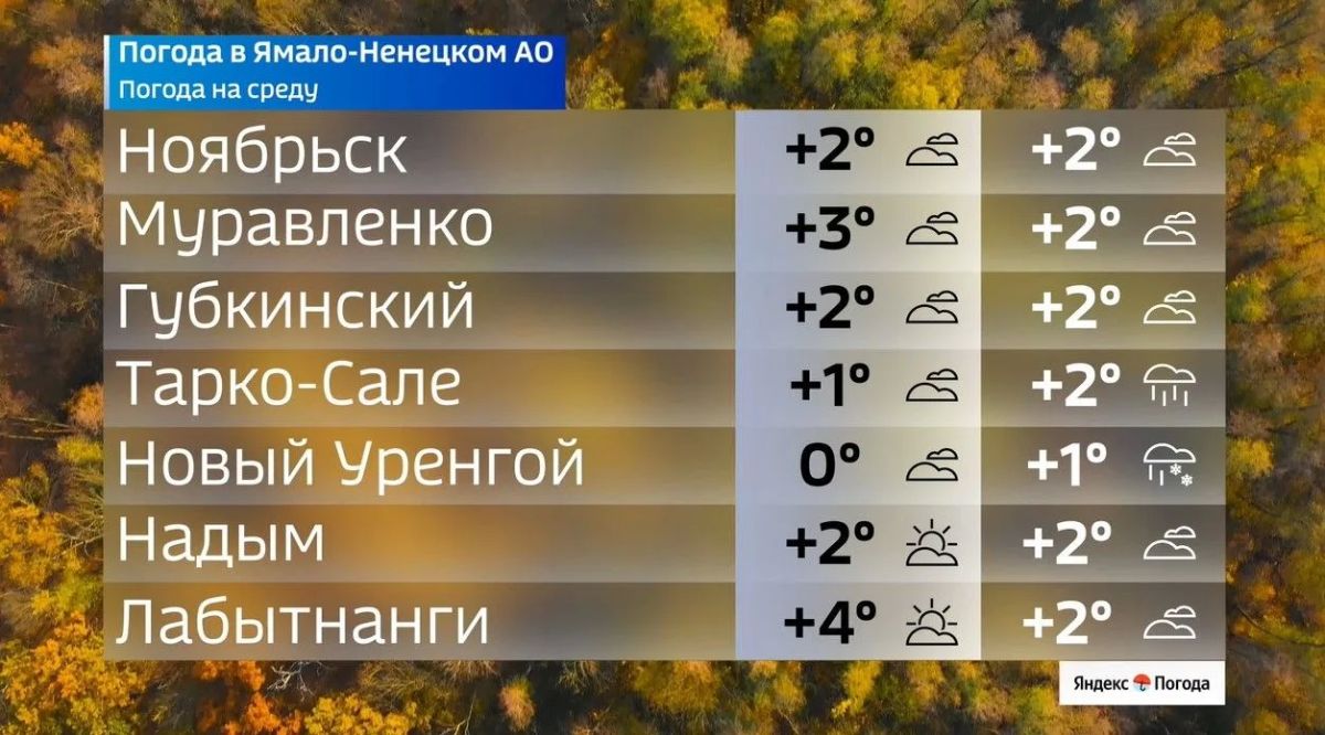 Облака, прохлада и немного дождя: погода на Ямале