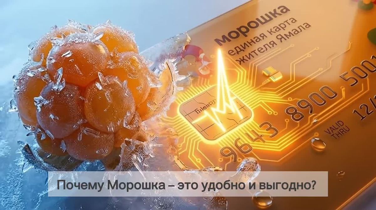Карта настоящего ямальца: инструкция по подключению «Морошки»