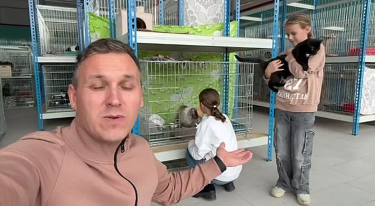 В приюте у каждого кота свой нрав
