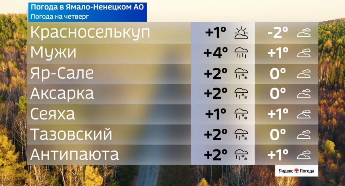 Ямал накроет волна мокрого снега Ямал накроет волна мокрого снега