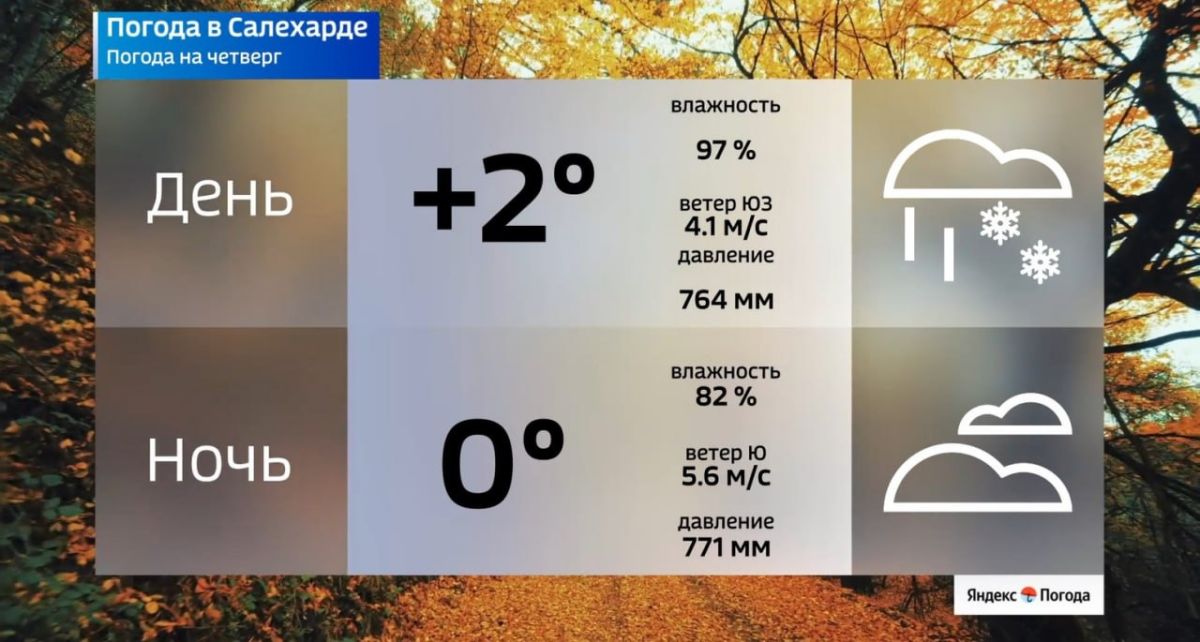 Ямал накроет волна мокрого снега Ямал накроет волна мокрого снега