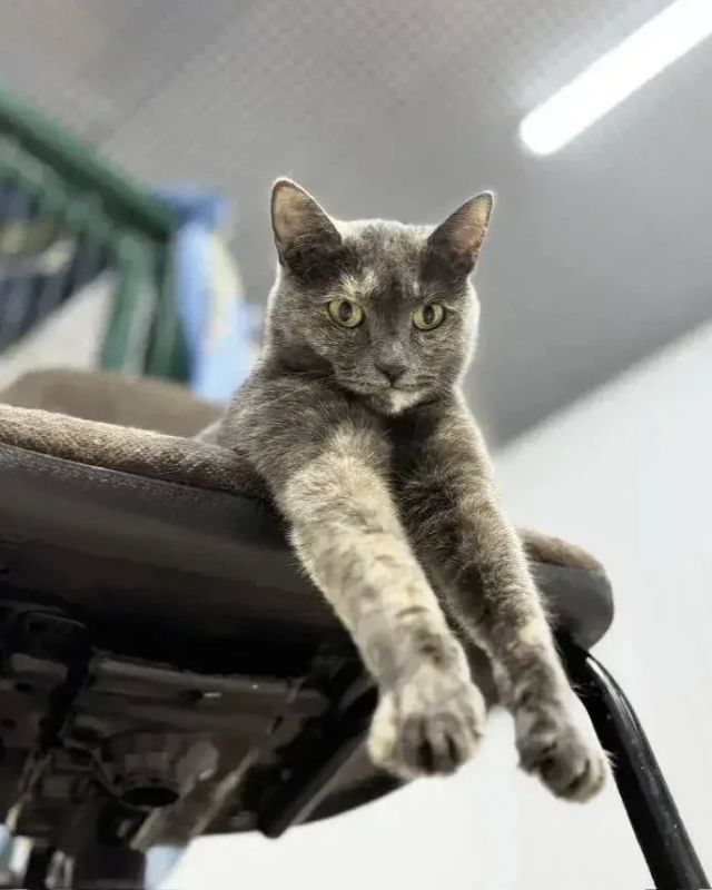 Пока нет своего дома, но уже есть свои люди Пока нет своего дома, но уже есть свои люди