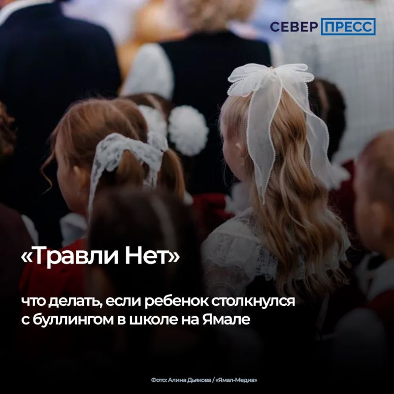 На Ямале работает единый сервис для сообщений о случаях буллинга в школе — система обратной связи «ТравлиНЕТ»