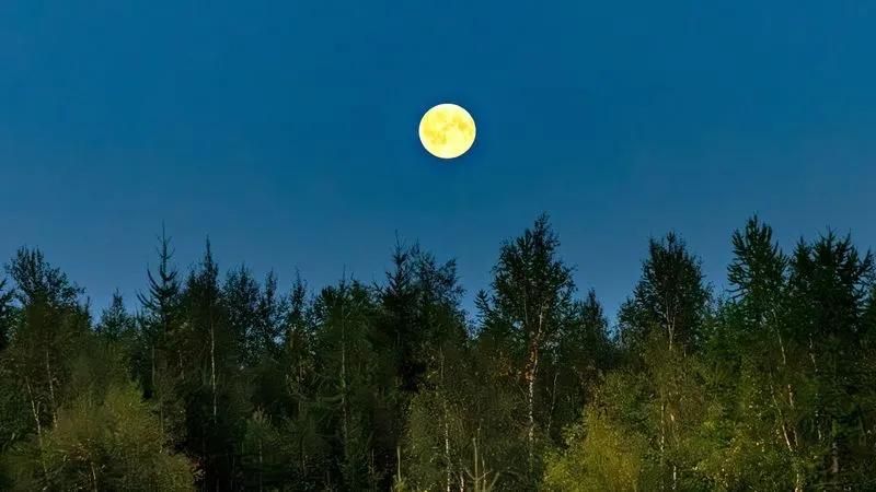 В небе к концу октября взойдёт Луна Охотника