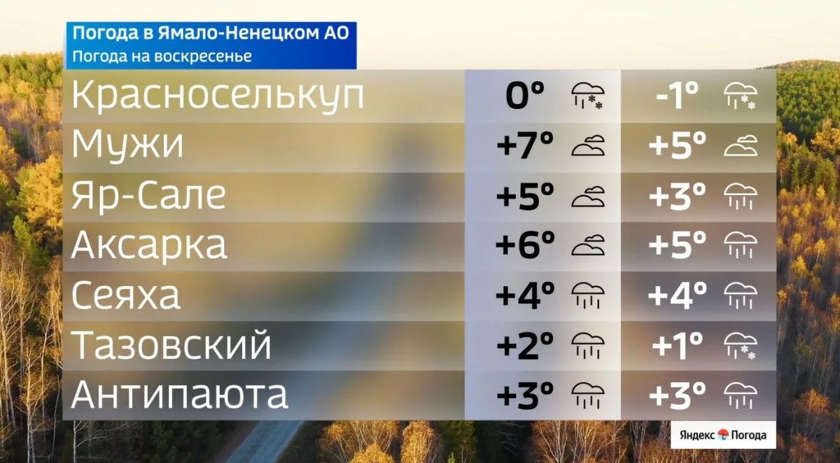 Воскресенье без зонта не обойдётся Воскресенье без зонта не обойдётся