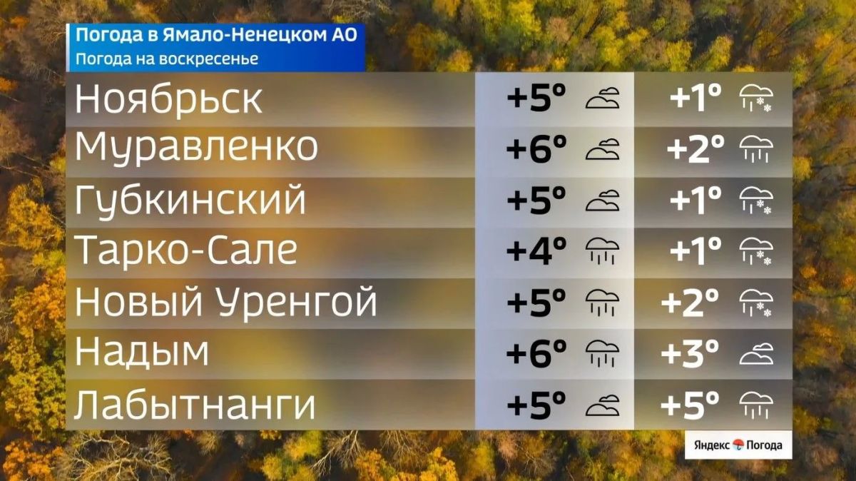 Воскресенье без зонта не обойдётся