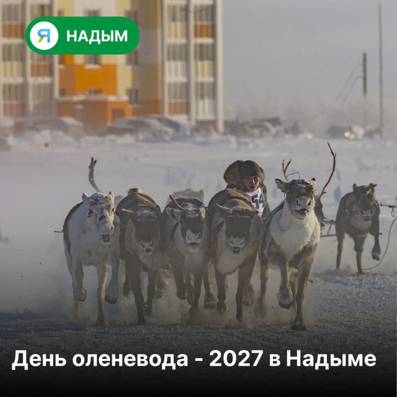 Праздник оленеводов в Надыме планируют провести 20–21 февраля