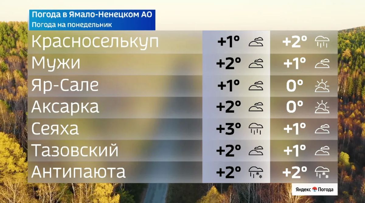 Ямал на пороге заморозков. Понедельник принесет пасмурную погоду, а местами — дожди со снегом Ямал на пороге заморозков. Понедельник принесет пасмурную погоду, а местами — дожди со снегом