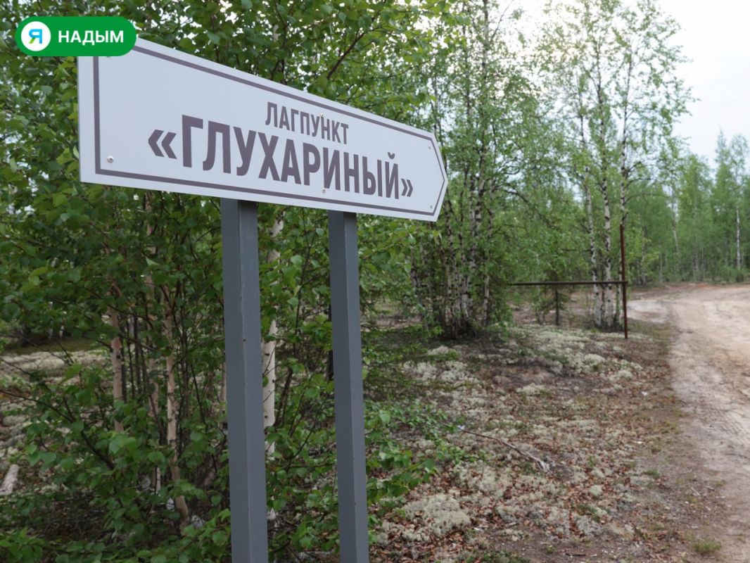 Надымские школьники планируют подарить новую жизнь роднику на дороге Надым — Салехард Надымские школьники планируют подарить новую жизнь роднику на дороге Надым — Салехард