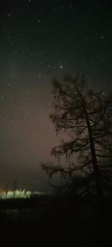 Этот день принес нам снег, радость и предощущение зимы Этот день принес нам снег, радость и предощущение зимы