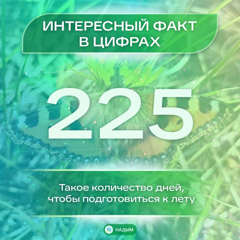 Холода подбираются всё ближе, впереди долгие зимние вечера, морозы и сугробы