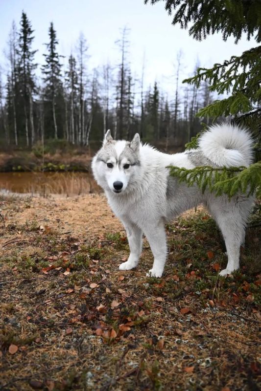 Пусть следующая фотография будет уже из дома Пусть следующая фотография будет уже из дома