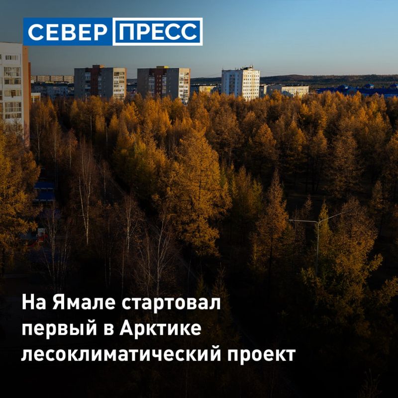 В Приуральском лесничестве стартовал уникальный проект по поглощению парниковых газов