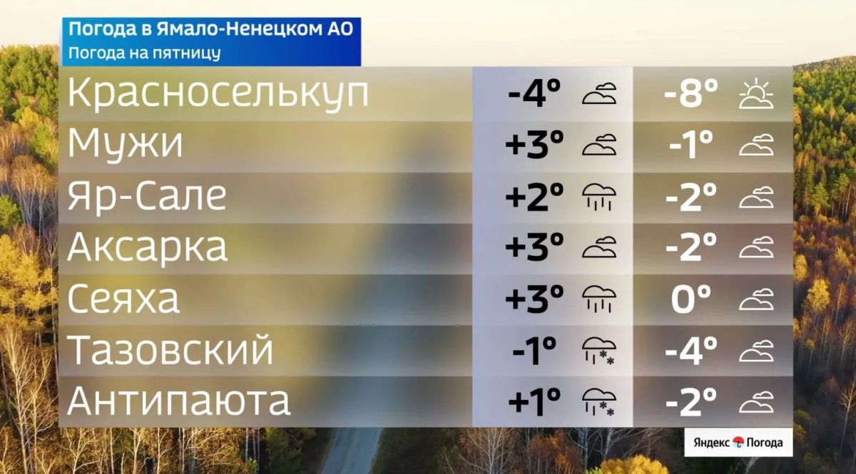 От дождя до мокрого снега: какая погода ждет Ямал От дождя до мокрого снега: какая погода ждет Ямал