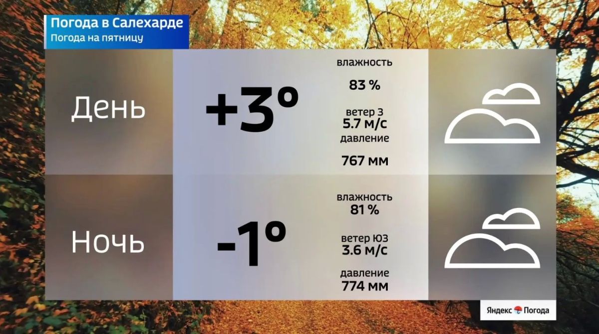 От дождя до мокрого снега: какая погода ждет Ямал От дождя до мокрого снега: какая погода ждет Ямал