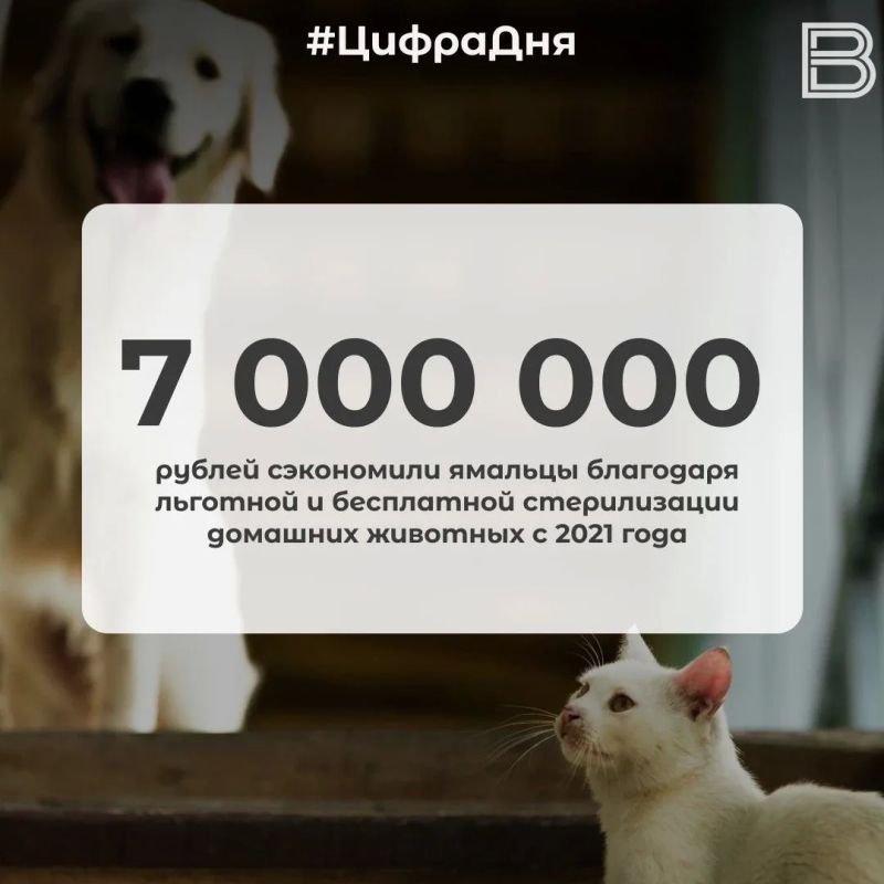 7 000 000 рублей сэкономили ямальцы благодаря льготной и бесплатной стерилизации домашних животных с 2021 года
