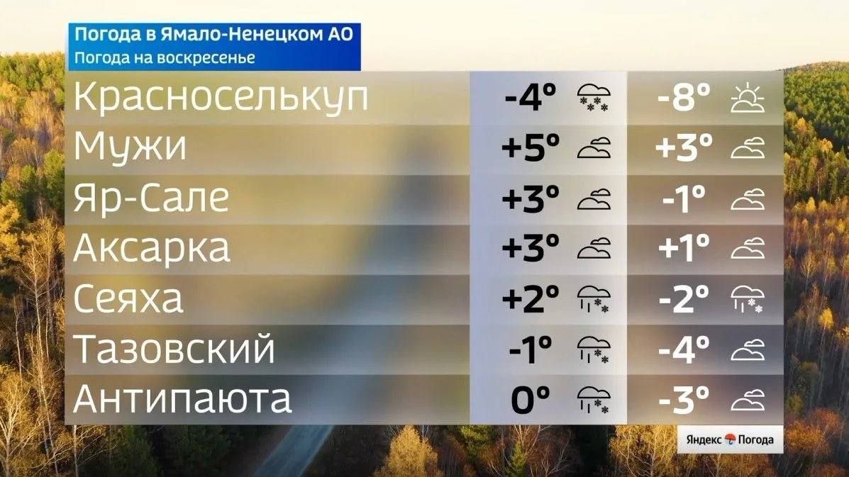 Какая погода ждет ямальцев в воскресенье Какая погода ждет ямальцев в воскресенье